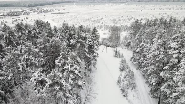 Fantastic Snow Covered Winter Forest in Cool Weather Aerial View