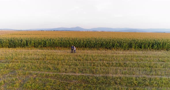 Young Farmers Discussing At Maize Field Agriculture