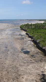 Vertical Video of Low Tide in the Ocean Near the Coast of Zanzibar Tanzania