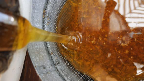 The Honey From the Honey Extractor is Filtered Through a Sieve