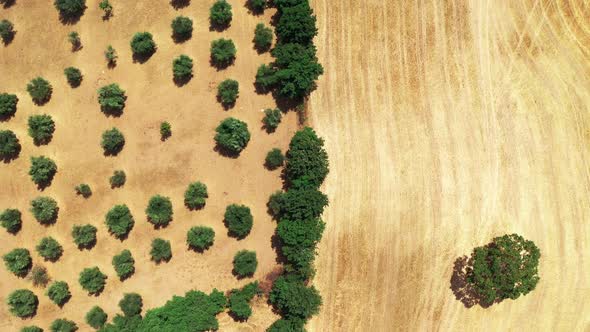 Top Aerial View of Tuscan Countryside Shot with Drone at Summer Time