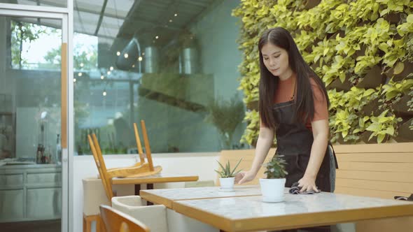 A female restaurant employee or young entrepreneur wipes the dining table in preparation to open.