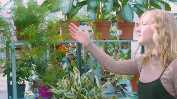 A Florist with White Hair in a Botanical Garden Enjoys Examining the Appearance of a Fern