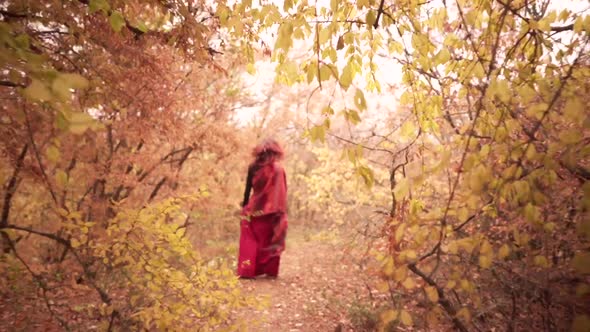 Following Shot of Redhead Majestic Lady Walking in Golden Yellow Woods in the Autumn Forest