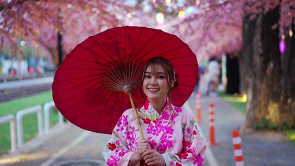 woman in yukata (kimono dress) walking and looking sakura flower or cherry blossom blooming