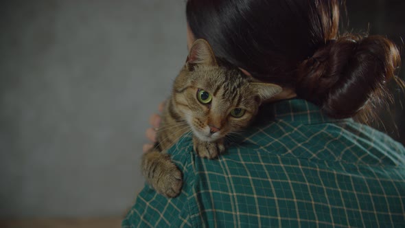 Loving Pet Owner Caressing Cute Tabby Female Cat