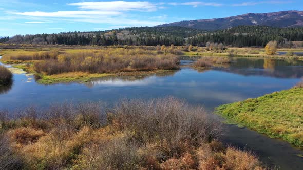 Flying over marsh in Wyoming on sunny day