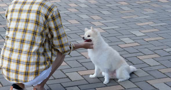 Woman play with her dog at outdoor