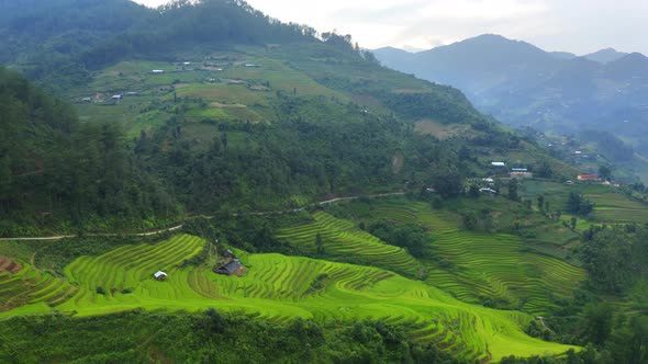Aerial top view of paddy rice terraces, green agricultural fields in Vietnam.