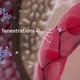 Hair follicles are small, pocket-like holes in our skin. - VideoHive Item for Sale