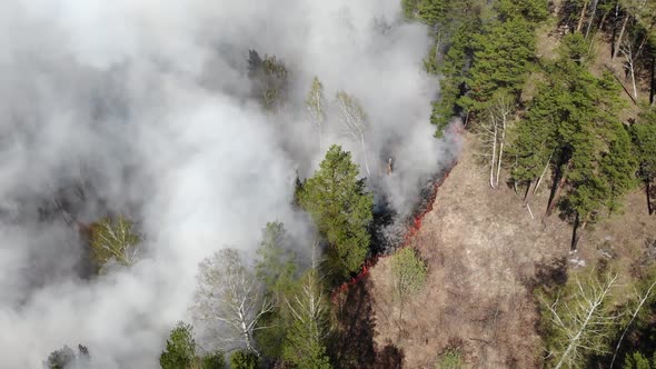 Air Pollution Caused By Wildfires Clouds of Smoke Above the Burning Field Aerial Footage