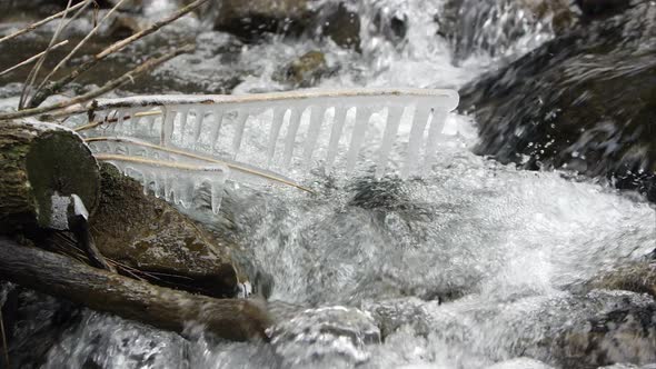 View of small stream flowing with sticks frozen in ice.