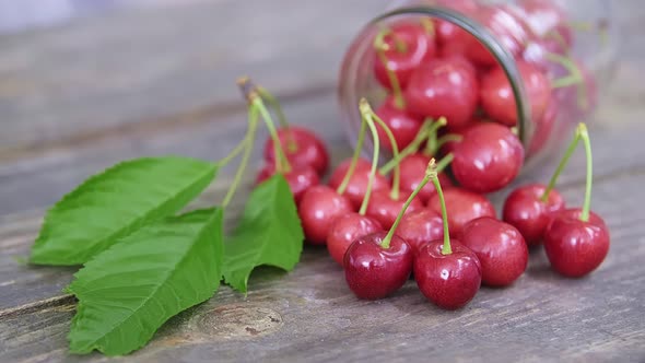 Closeup Dolly Slider Shot of Scattered Ripe and Red Wild Cherries on the Table