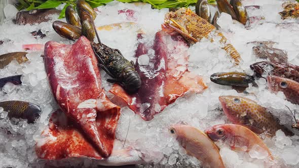 Close Up Footage of a Variety of Fresh Seafood on the Counter with Fine Crushed Ice Crabs Lobsters