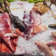 Close Up Footage of a Variety of Fresh Seafood on the Counter with Fine Crushed Ice Crabs Lobsters - VideoHive Item for Sale