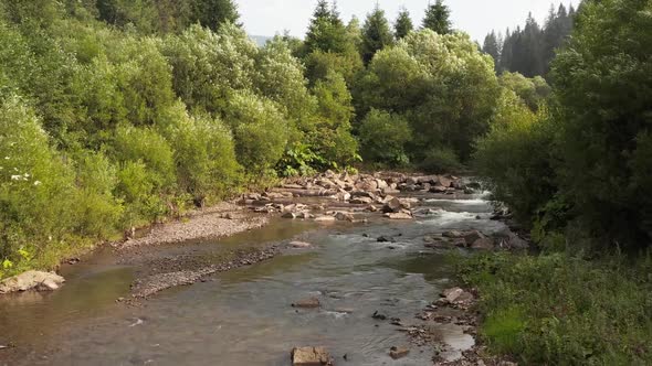 Mountain stream and green nature