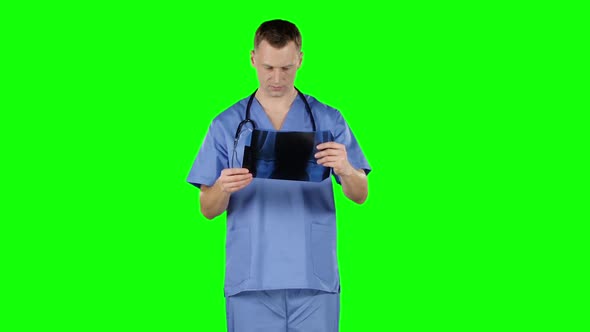 Doctor Analyzing X-ray. Green Screen