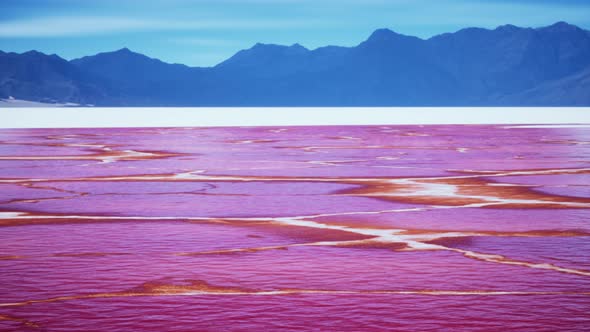 Beautiful View of Pink Lake on Summer Day