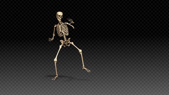 Skeleton Show Dance Combat