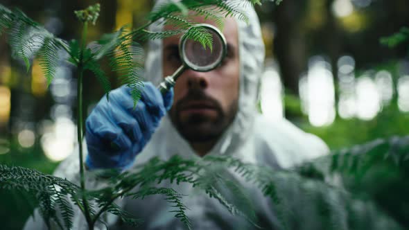 Plant Expert Analyzes a Rare Species of Leaf in the Mountains