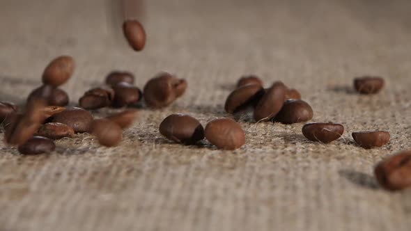 Selected Grain Fragrant Coffee Brown Burlap Fall on Lying. Close-up