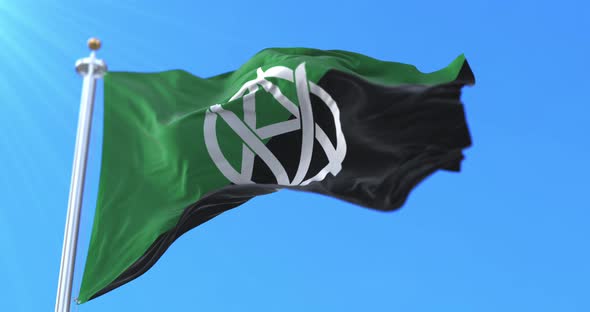 Veganarchism Flag