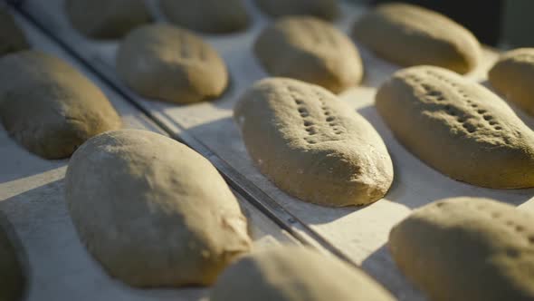 Close View of Making Bread Process By Baker on a Bakery Factory