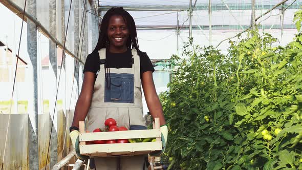 Young women working in their start up business.