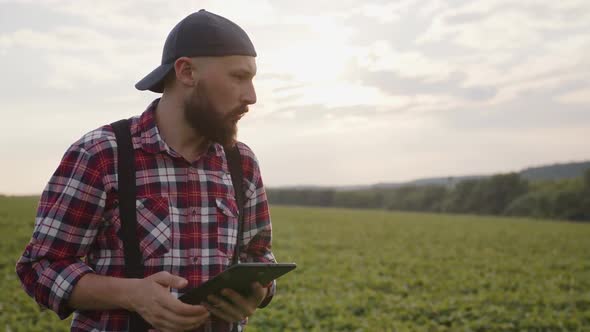 Close Up Concentrated Farmer in Plaid Shirt with Tablet