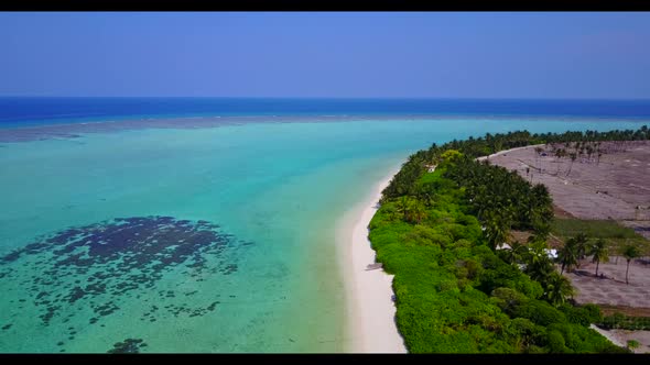 Aerial landscape of relaxing island beach wildlife by blue water and white sandy background of journ