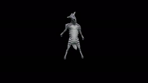49 Zebra Dancing 4K alt