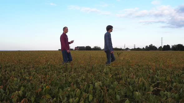 Aerial View of Soybean Farmers Working in the Field