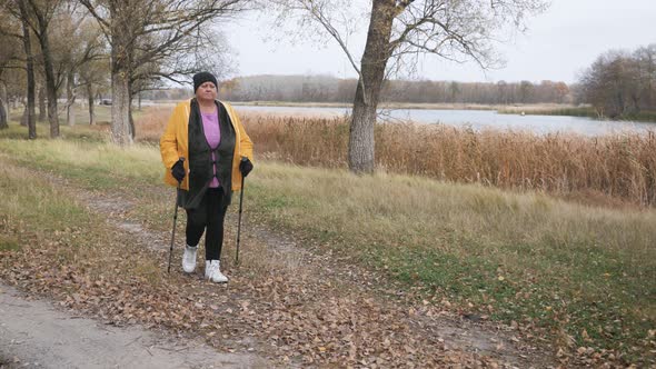 Senior Woman Making Nordic Walking in the Autumn Forest. Nordic Walking Race on Autumn Trail