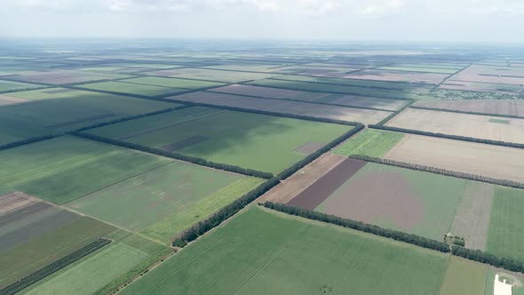 4K aerial shot of fields with various types of agriculture