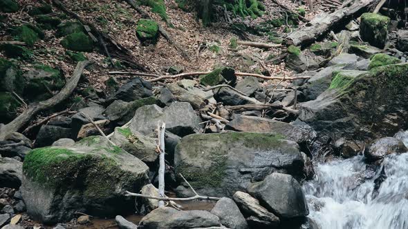 beautiful waterfall with a tree in the foreground for your advertisement