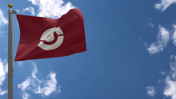 Kochi Prefecture Flag Japan On Flagpole