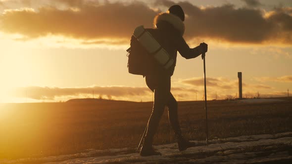 Woman Traveler with Backpack Hiking in Mountains. Silhouette Hiker Walking in the Mountains, Freedom