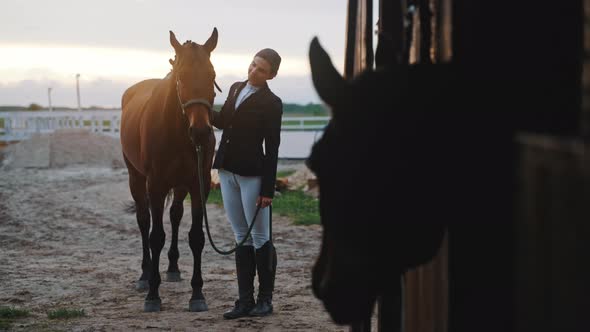 Horse Owner With Her Brown Horse Outside The Stable In The Sandy Ground