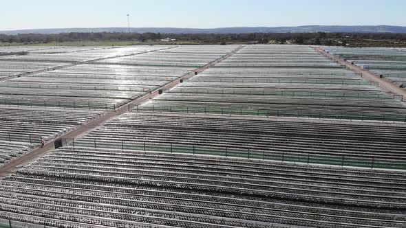 Aerial View of a Strawberry Farm in Australia