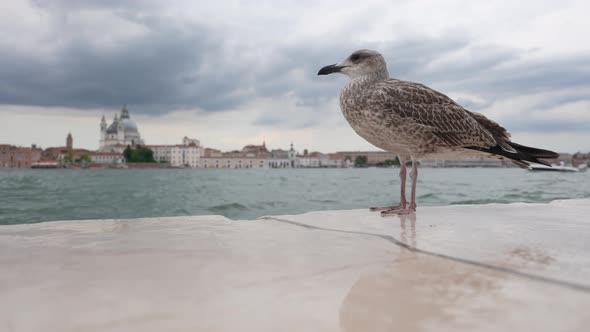 Venice, Italy 10