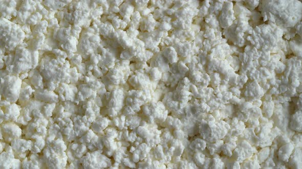 Cottage cheese of background, rotates. White grainy texture of dairy product