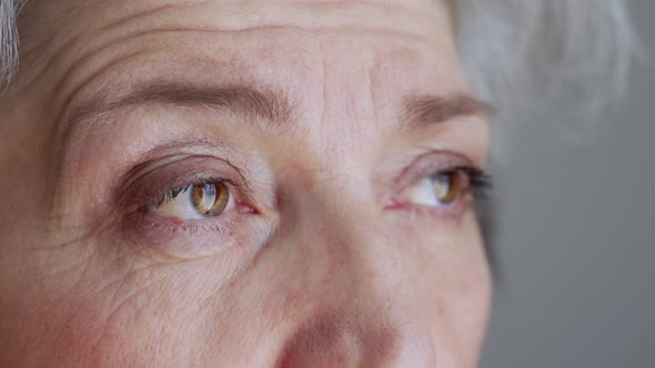 Portrait of an Old Woman. Large Wrinkles on the Old Woman's Face. Face Close Up. 