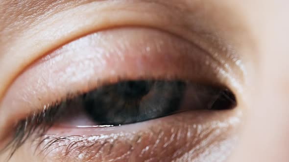 Beautiful Blue Woman Eye, Extreme Close-up. Sight. Detail View Young Girl's Eye