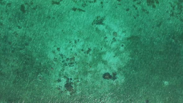 Aerial: top down over coral reef uncontaminated coastline tropical caribbean sea