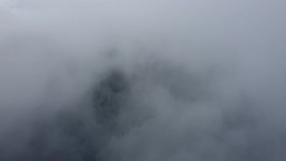 Aerial move over low cloud formation near the rainforest