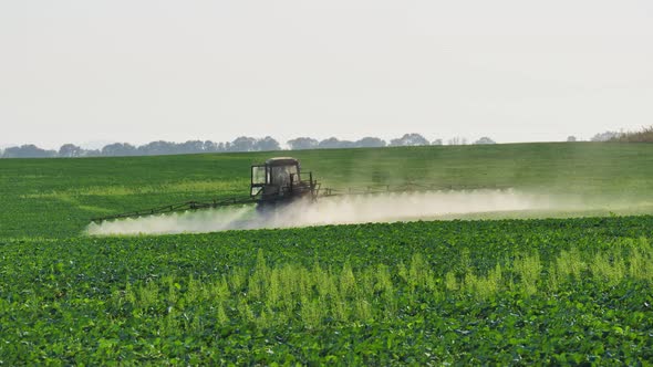 A Tractor Sprayer Treats the Plantations with a Sprayer Herbicides and Pesticides