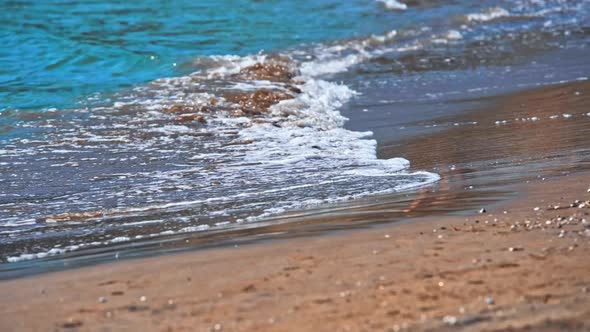 Sea