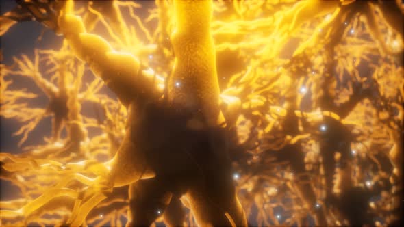 Journey Through a Neuron Cell Network Inside the Brain alt