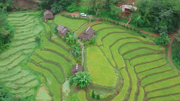 Rice Terraces in Doi Inthanon National Park in Chiang Mai Province, Thailand