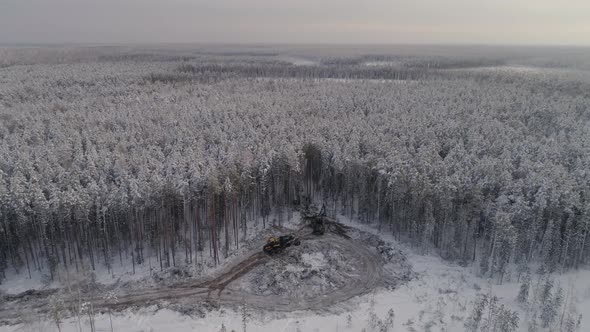Forest harvester and forwarder drive into the winter forest 06